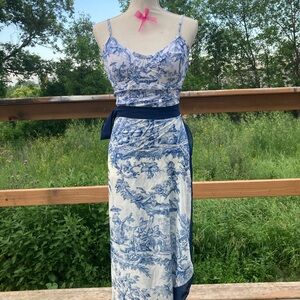 Blue and White Toile Print Dress
